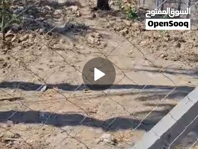 بستان طابو صرف للبيع في الحسينية