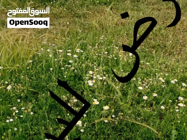 Farm Land for Sale in Kairouan Other