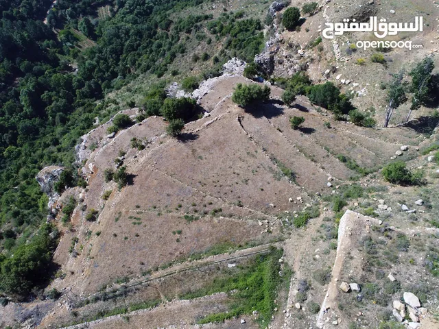 In the heart of Jezzine