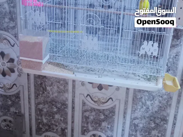 سلام عليكم اقفاص للبيع القفص ع 10قفل