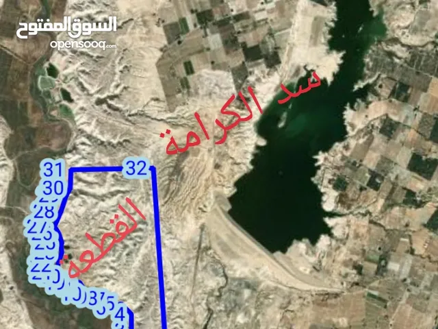 في الغور13.5دنم سعر الدنم 370دينار / منطقة الشونة الجنوبية (التواصل على الرقم الموجود فى الاعلان)