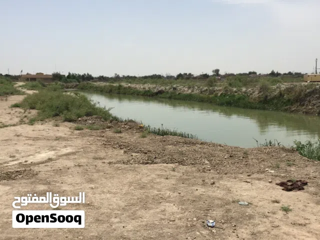 ارض زراعيه على مباشر على شط العرب في ابي الخصيب / باب ميدان - ابيع اسهم تواصل