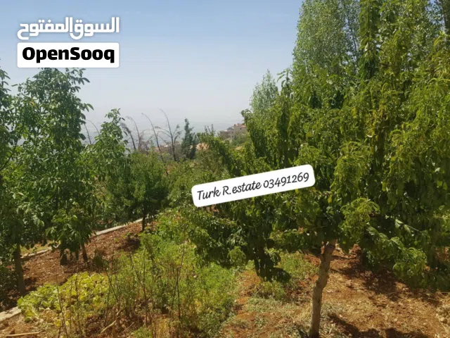 250 m2 5 Bedrooms Apartments for Sale in Aley Other