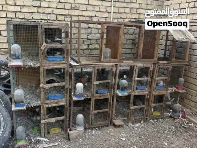 للبيع خانات