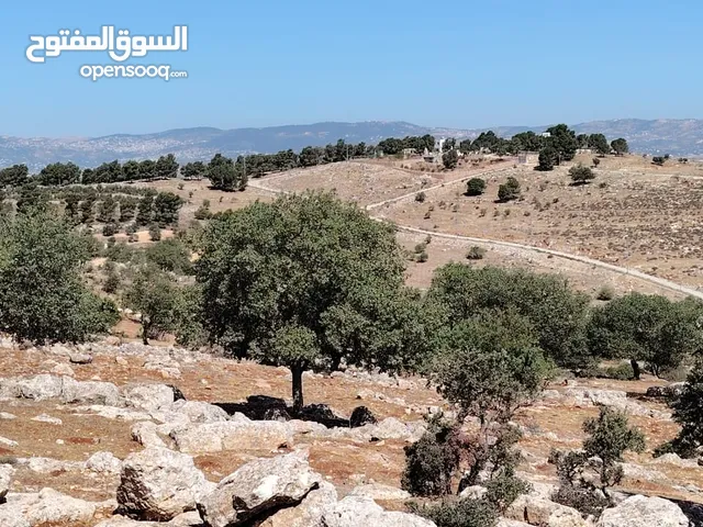 ارض للبيع جرش عنيبه سكان المهندسين
