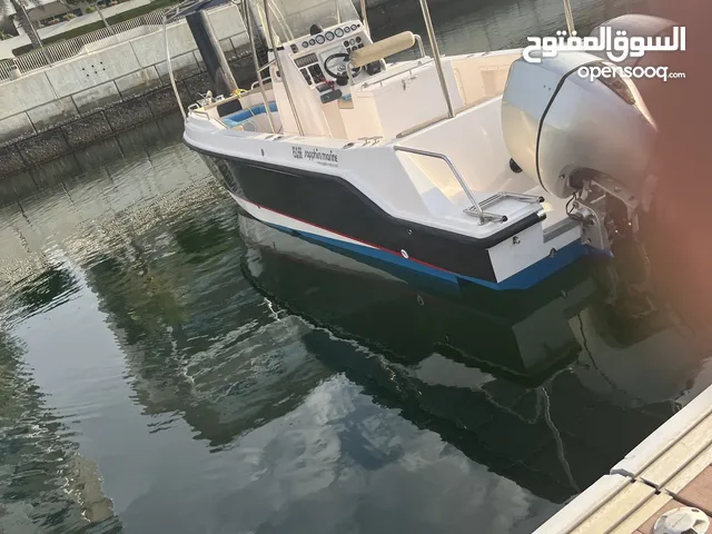 قارب سافاير مارين 29 قدم (sapphire marine)