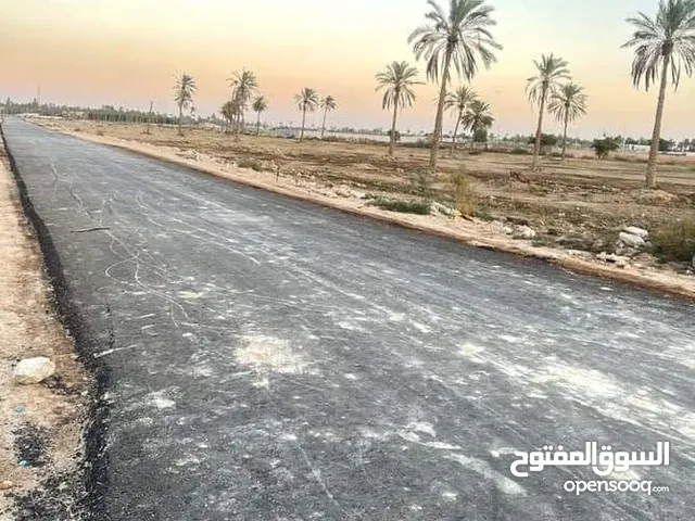 Farm Land for Sale in Basra Shatt Al-Arab