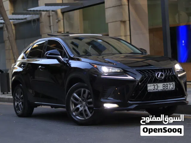 2015 لكزس NX NX 300