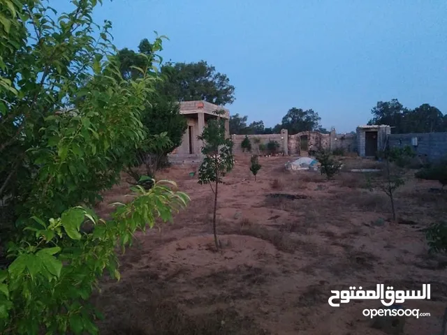 Farm Land for Sale in Tripoli Al-Baesh