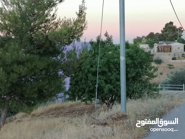 Farm Land for Sale in Jerash Other