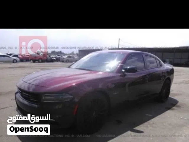 جارجر RT 2018 كفالة وارد كندي