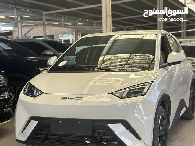 BYD SEAGULL 2023 بطارية كبيرة