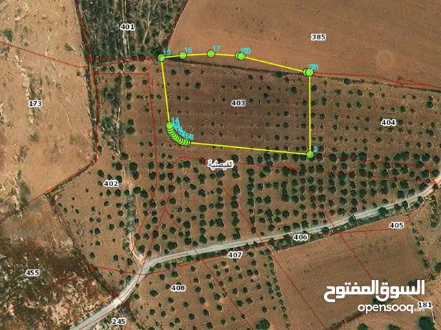 Farm Land for Sale in Madaba Other