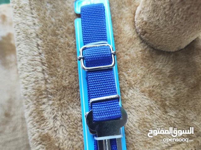 مربط كلاب بالسيارة