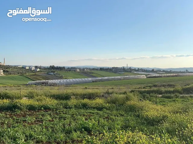 نمرة 700 متر مربع دير غزالة