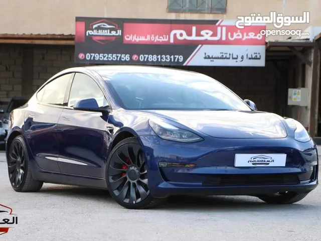 Tesla Model 3  DualMotor. performance 2022