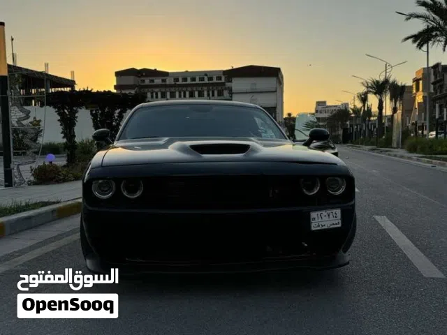 Used Dodge Challenger in Baghdad