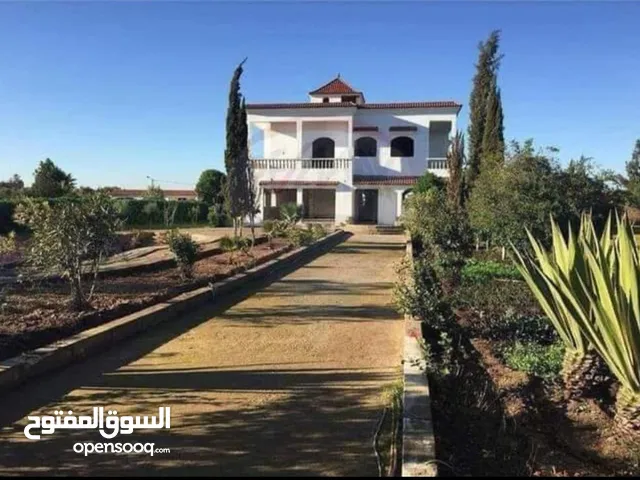 Residential Land for Sale in Rabat El menzeh