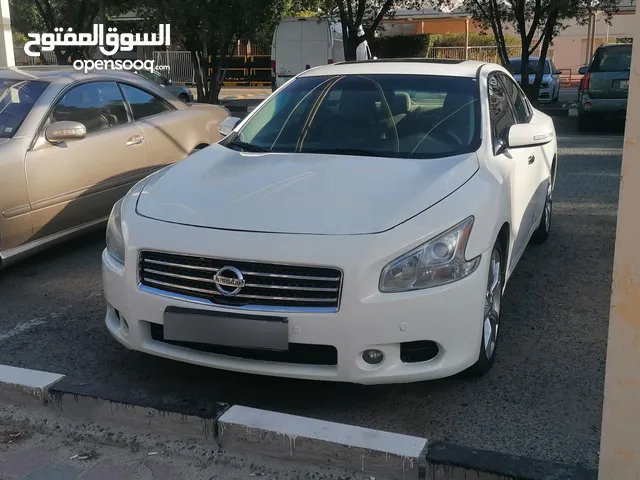 ماكسيما 2012 maxima