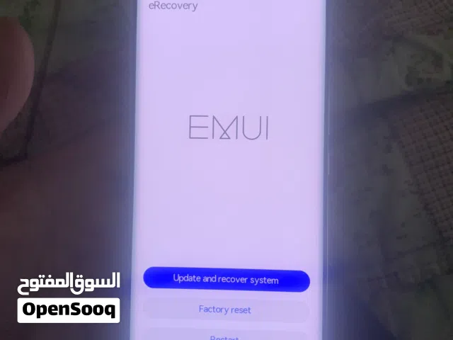 Huawei Nova 8 256 GB in Salt