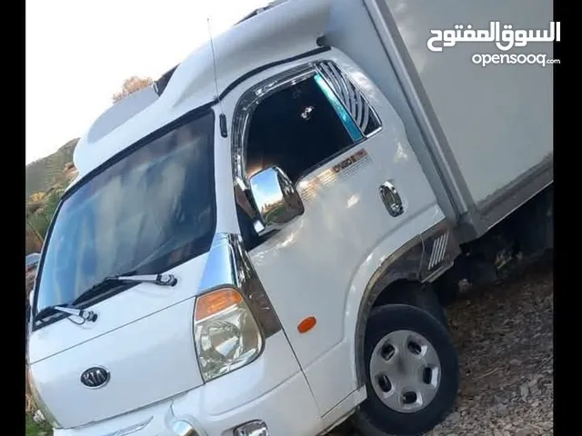 كيا أو هيونداي حافظة ثلاجة