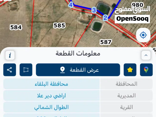 مزرعه في الغور للبيع