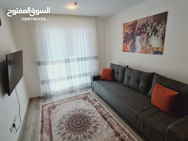 87m2 1 Bedroom Apartments for Rent in Erbil Sarbasti