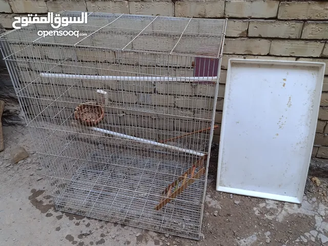 قفص طيور بي مجال السعر