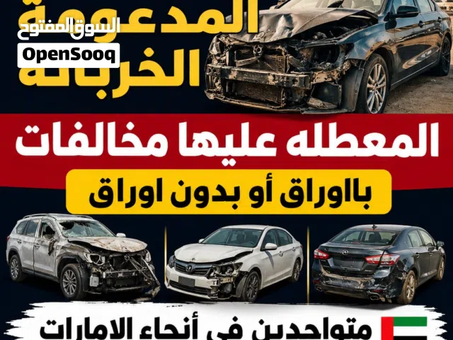 شراء السيارات كاش