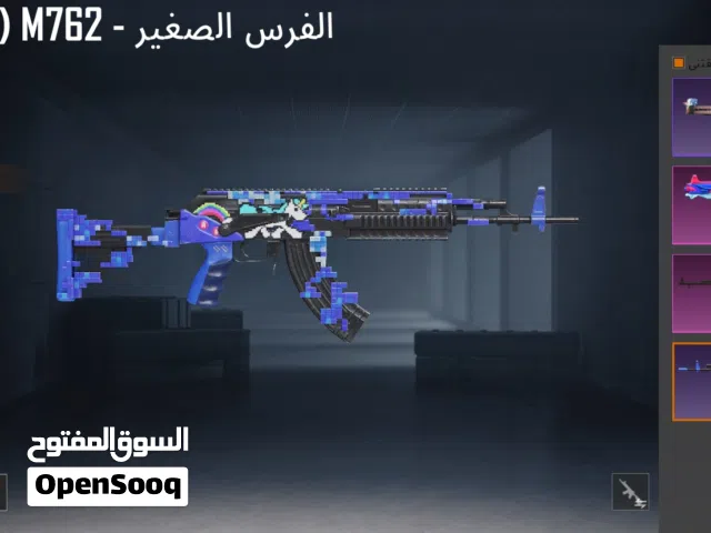 Pubg Accounts and Characters for Sale in Irbid