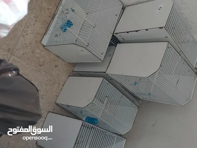 اقفاص عرض طيور