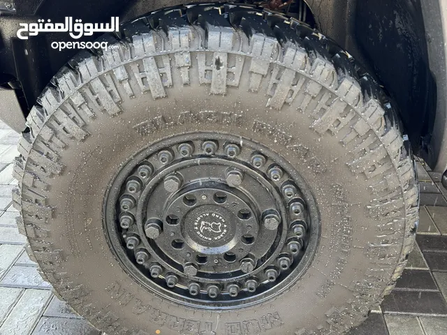 Other 17 Rims in Muscat