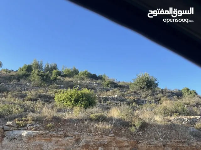 أرض مطلة وسعر مغري