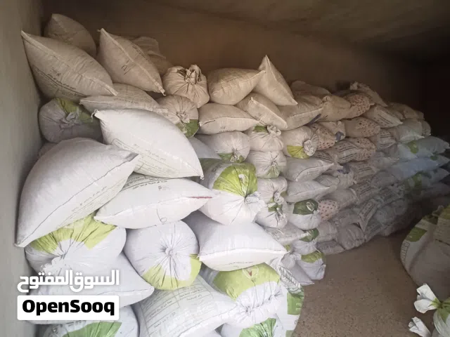 بشكطي جاف صلاح للاكل لي الإبل والغنم والبقر