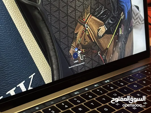 Windows Apple for sale  in Ajman