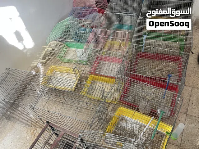 قفصين كاسكو عدد 2 واحد مفتوح من فوق عشان يطلع الطير منو ويوجد حوالي 16 قفص 3 معالف و 8 قفاص معلفين
