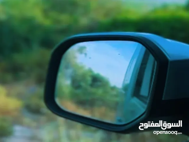 waseem sabaneh
