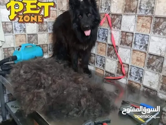 تحميم كامل للكلاب