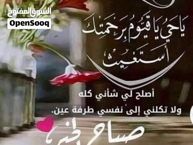 باحث عن عمل اونلاين