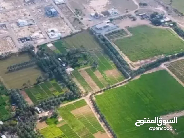 Farm Land for Sale in Al Batinah Al Masnaah
