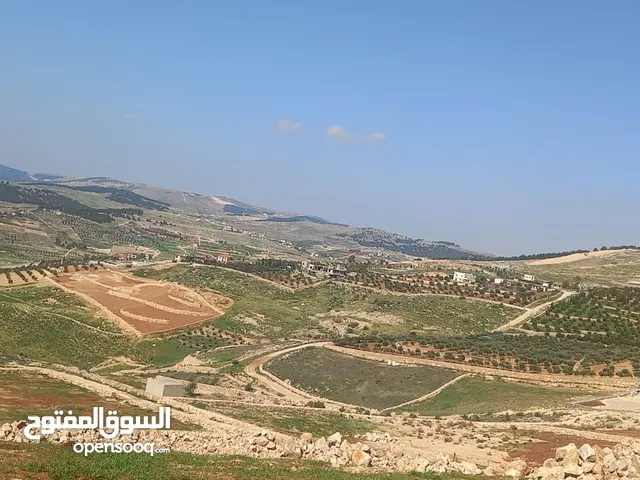 Farm Land for Sale in Jerash Kufair