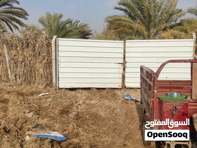 ارض زراعيه جاهزه للزراعه سند 25 طابو زراعي تحويل بأسم المشتري