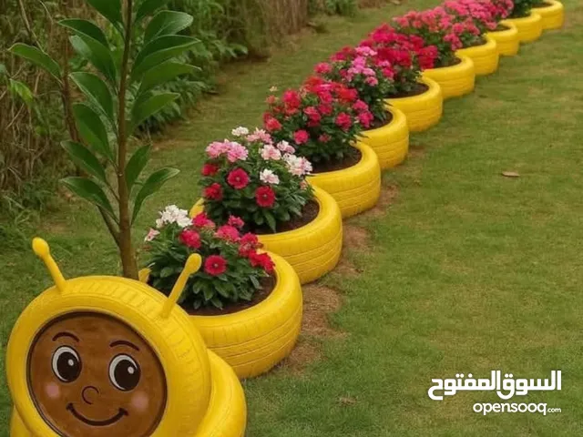 مطلوب بيض بلدي مخصب عدد 150 بيضه للتواصل على رقم ويفضل داخل اربد مستعجل اذا في مجال