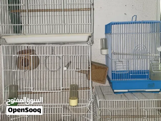 اقفاص عصافير كلهم على 100 فقط