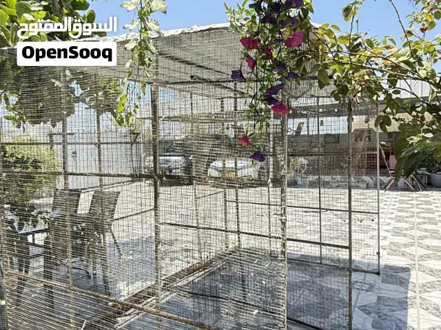 قفص للطيور للبيع