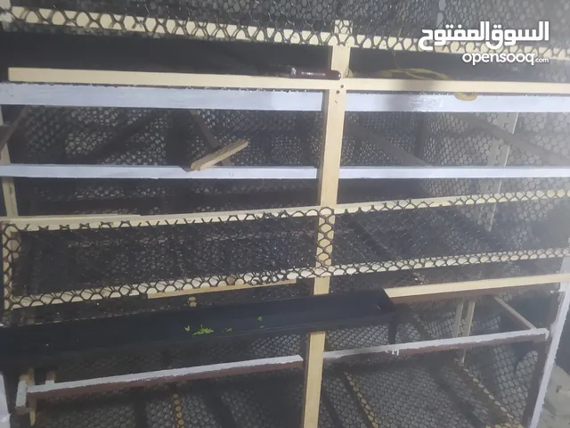 بطاريه فراخ لم تستعمل 70 فرخ