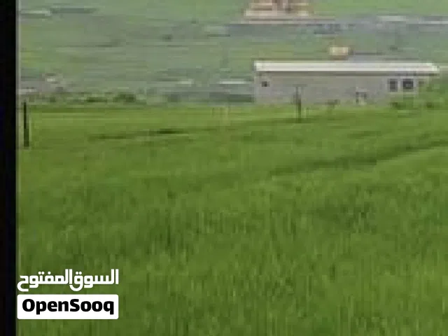 Farm Land for Sale in Madaba Al-Faisaliyyah