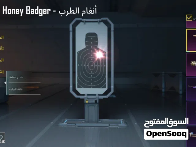 Pubg Accounts and Characters for Sale in Ramtha