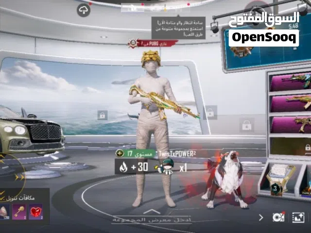Pubg Accounts and Characters for Sale in Abu Dhabi