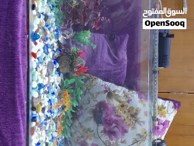 حوض سمك زينه للبيع كامل غراضه قياس الطول متر 100سم والارتفاع 40سم والنزال 40سم حوض مرتب جام ثخين